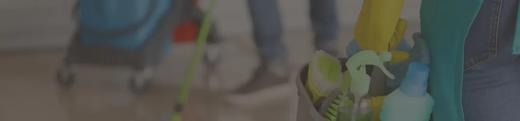 Emploi Aide Ménagère Bordeaux ATOUT MÉNAGE